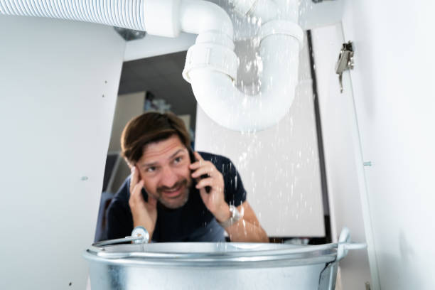 Best Affordable Plumbing Services  in Glenwood, MN